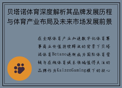 贝塔诺体育深度解析其品牌发展历程与体育产业布局及未来市场发展前景